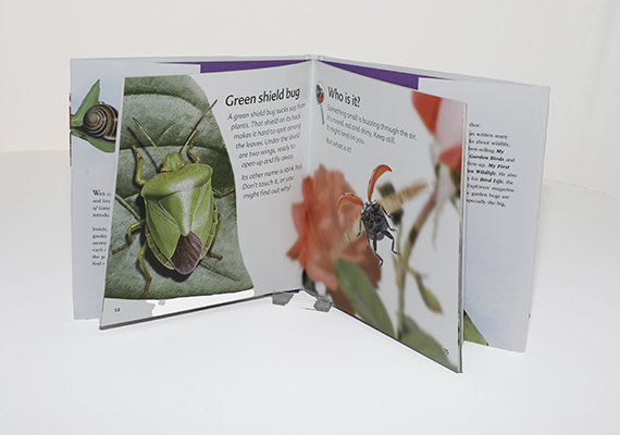 My First Book of Garden Bugs - Mike Unwin - Image 2