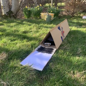 Mammal Footprint Tunnel Making